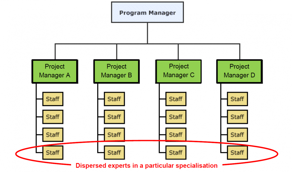 organisational chart showing specialised staff